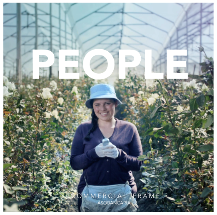 Captura de pantalla 2019-03-14 a la(s) 13.43.33